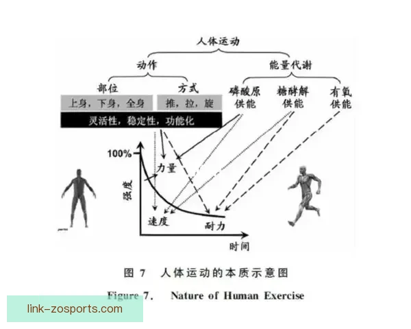 体育竞技技术深度解析与运动表现优化研究探索