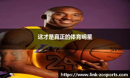 中欧体育官方网站